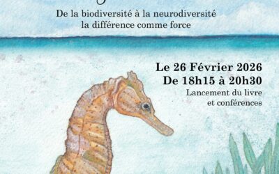 2026-02-26 La Casemate – L&rsquo;extraordinaire voyage de Bigorneau