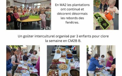 CLAP! SEMAINE 28 – MAI 2026
